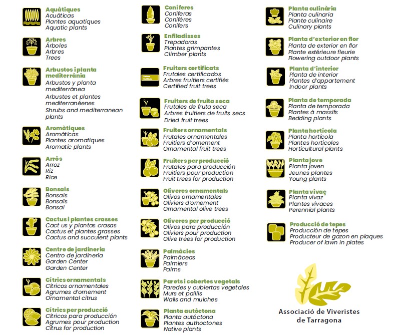 Imatge Especialitats