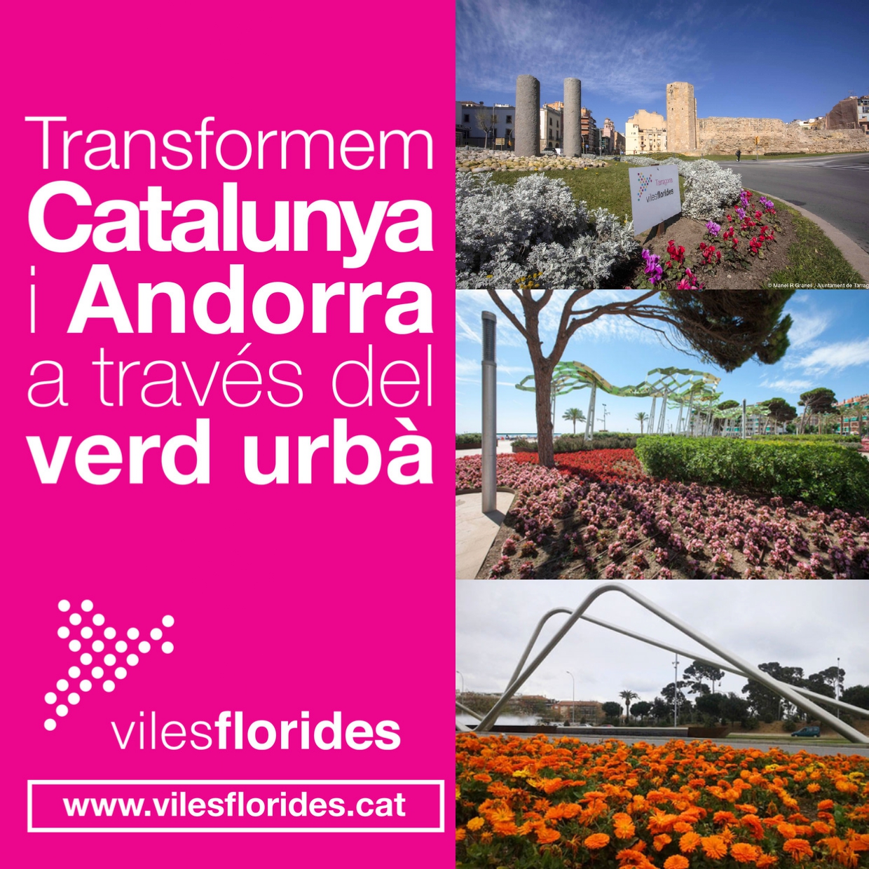 Viles Florides image